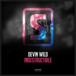 Cover: Devin Wild - Indestructible