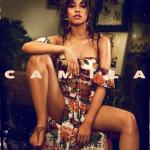 Cover: Camila Cabello - Never Be The Same