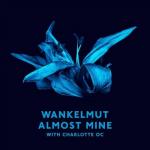 Cover: Wankelmut - Almost Mine