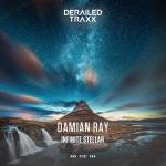 Cover: Damian Ray - Infinite Stellar