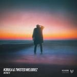 Cover: N3bula &amp; Twisted Melodiez - Infinite