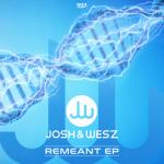 Cover: Josh &amp;amp;amp;amp;amp;amp;amp;amp;amp;amp;amp;amp;amp;amp;amp;amp;amp;amp;amp;amp;amp;amp;amp;amp;amp;amp;amp;amp;amp;amp;amp;amp;amp;amp;amp;amp;amp;amp;amp; Wesz - Vibrational Harmony