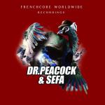 Cover: Dr. Peacock - The Universe