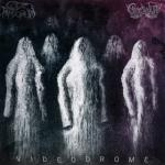 Cover: Pandorum - The Grail