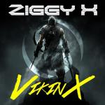 Cover: ZIGGY - VikinX