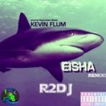 Cover: Kevin Flum - Sharkeisha