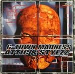 Cover: G-Town Madness meets Attic &amp; Stylzz - Bring The Pain