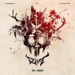 Cover: DJIPE - Mysterious Details