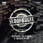 Cover: Zwaargewicht - Sloopkogel