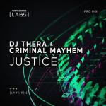 Cover: Criminal Mayhem - Justice