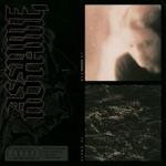 Cover: Assume Nothing - Signs of Misery