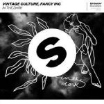 Cover: Vintage Culture &amp; Fancy Inc - In The Dark