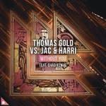 Cover: Thomas Gold vs. Jac &  Harri feat. Chad Kowal - Without You