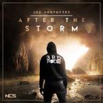 Cover: 3rd Prototype - After The Storm
