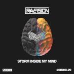 Cover: Nikkita - Gravity Storm - Storm Inside My Mind