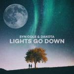 Cover: SYN - Lights Go Down