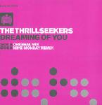 Cover: Thrillseekers - Dreaming Of You