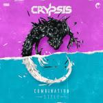 Cover: Crypsis - Combination Style