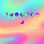 Cover: Steve Aoki - Waste It On Me