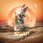 Cover: Bizzare Contact & Pettra - Snap