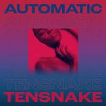 Cover: Tensnake - Automatic
