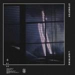 Cover: Stonefox - Lightning