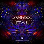 Cover: Makida &amp; Ital - The Final Theory