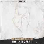 Cover: D-Verze - The Introvert