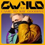 Cover: GWYLO - Came To Say Goodbye