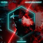Cover: G-Pol - What You Want