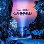 Cover: Bear Grillz - Down To Earth