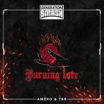 Cover: Amero & TBR - Burning Love
