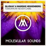 Cover: Bluskay & Mariske Hekkenberg - Tomorrow Never Came