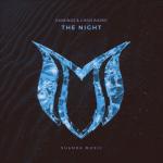 Cover: Chris Burke - The Night