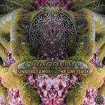 Cover: Chacruna - Understanding The Universe