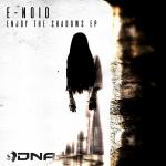 Cover: E-Noid - Fight Of Your Life
