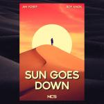 Cover: ROY KNOX - Sun Goes Down