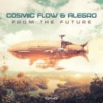 Cover: Cosmic Flow &amp; Alegro - From The Future