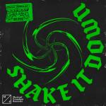 Cover: RayRay - Shake It Down