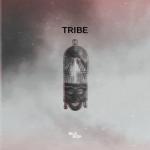 Cover: Belik Boom - Tribe