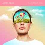 Cover: Andrew Huang - Summertime Feeling