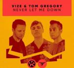 Cover: VIZE & Tom Gregory - Never Let Me Down