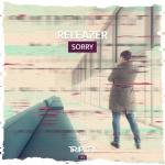 Cover: Releazer - Sorry