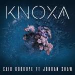 Cover: KNOXA feat. Jordan Shaw - Said Goodbye