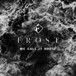 Cover: Frost - We Call It House