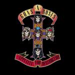 Cover: Guns N' Roses - Mr. Brownstone