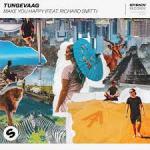 Cover: Tungevaag feat. Richard Smitt - Make You Happy