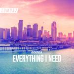 Cover: Audiorider - Everything I Need