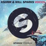 Cover: Brooks &amp; KSHMR feat. TZAR - Voices