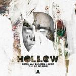 Cover: Armin van Buuren - Hollow